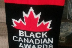 Black Canadian Awards1